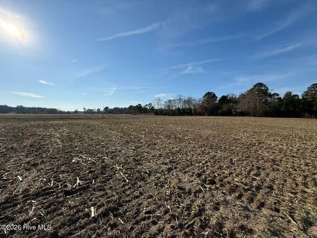 $134,900 | 0 Nc 131 Highway, Bladenboro, NC 28320