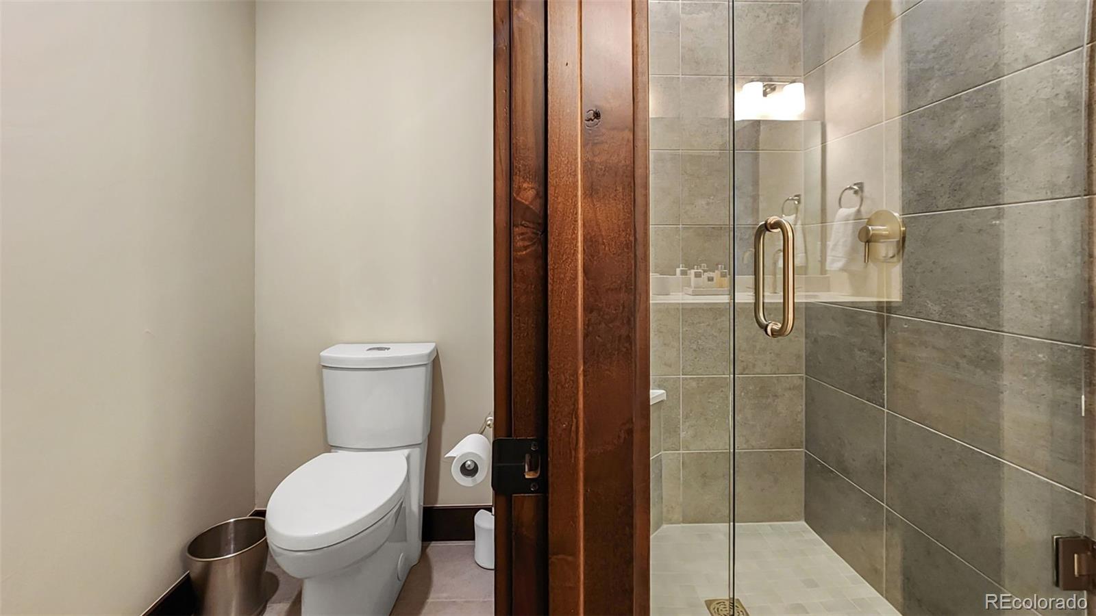 75 Glazer Trail Silverthorne, CO 80498 - Photo 22 of 48