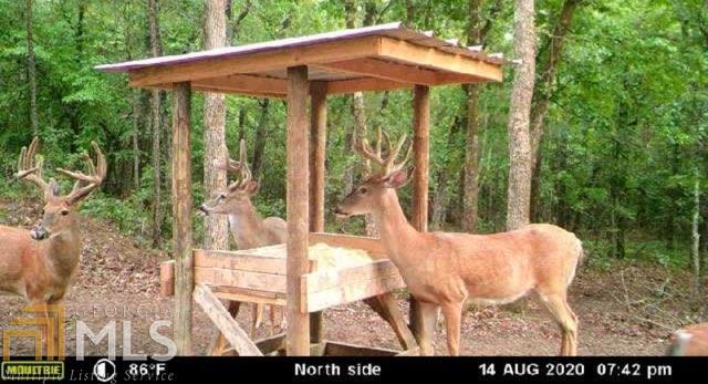 0 Thaxton Road Butler, GA 31006 - Photo 1 of 1 Gallery Image 1