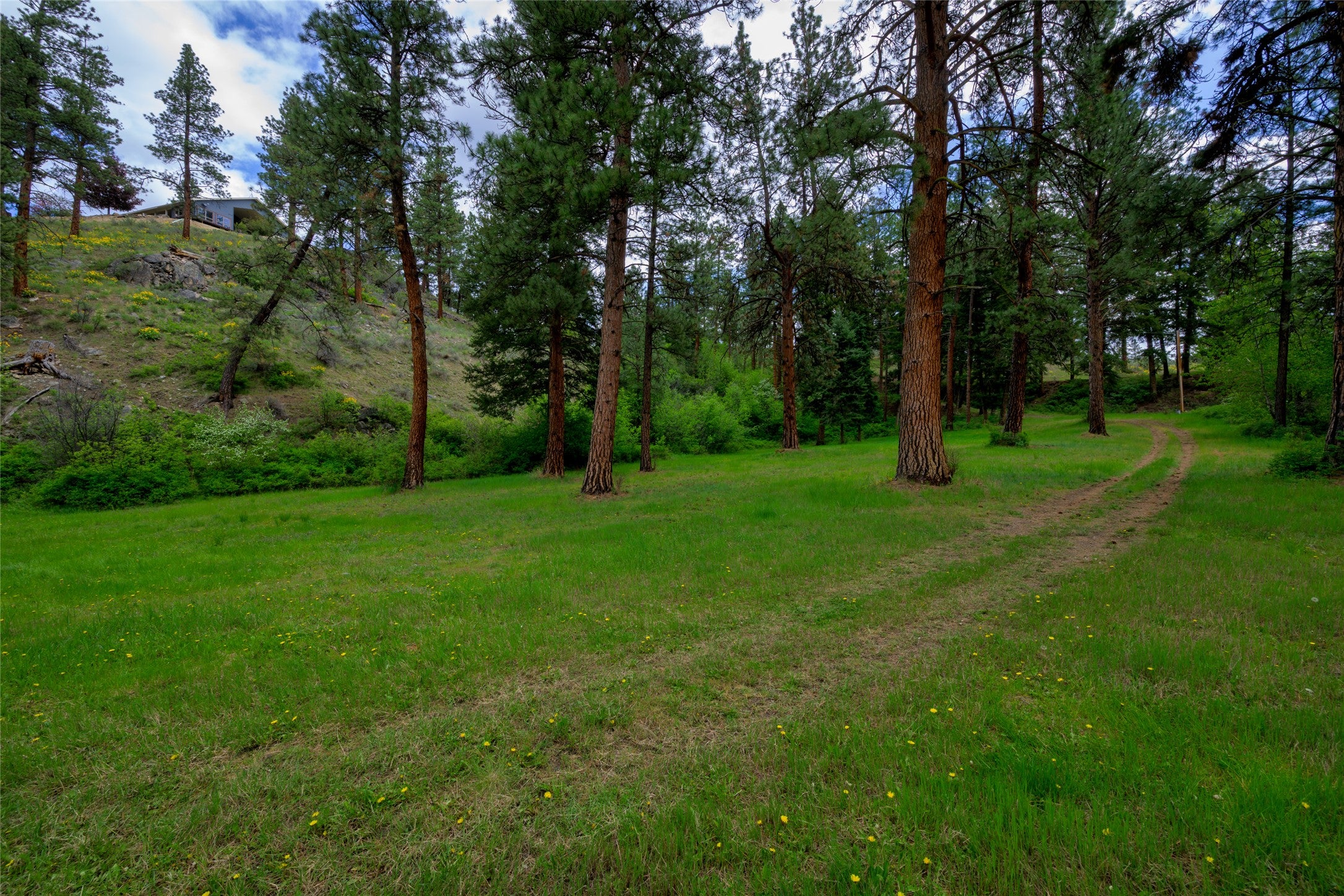 231 Juneberry Road Conner, MT 59827 - Photo 49 of 50 Gallery Image 49