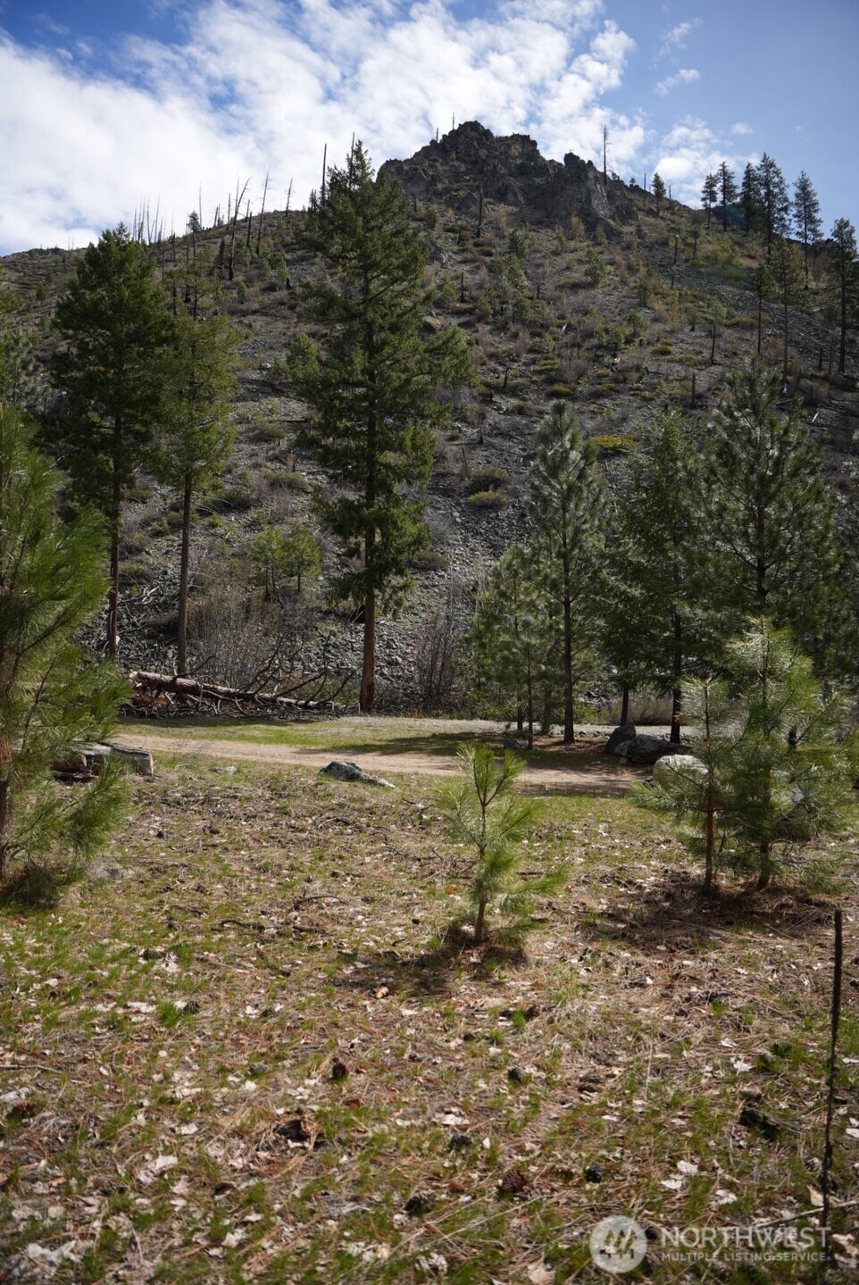13578 Entiat River Road Entiat, WA 98822 - Photo 15 of 16 Gallery Image 15