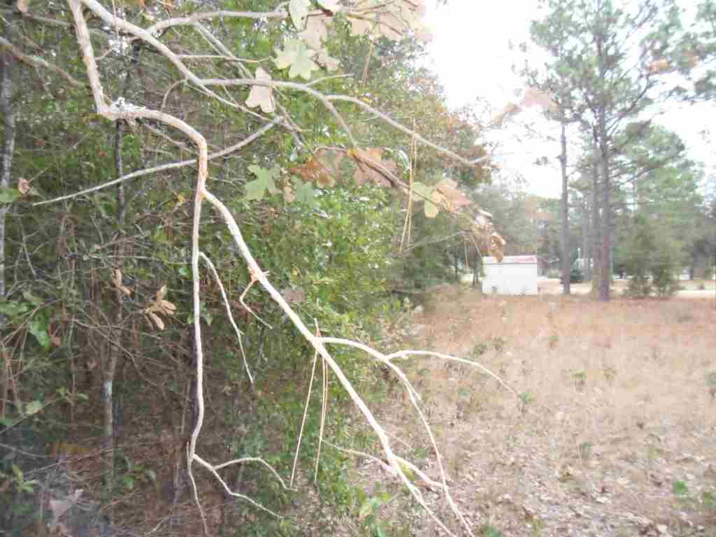 3.28-acre 3.28-acre Blair Road Milton, FL 32570 - Photo 13 of 23 Gallery Image 13
