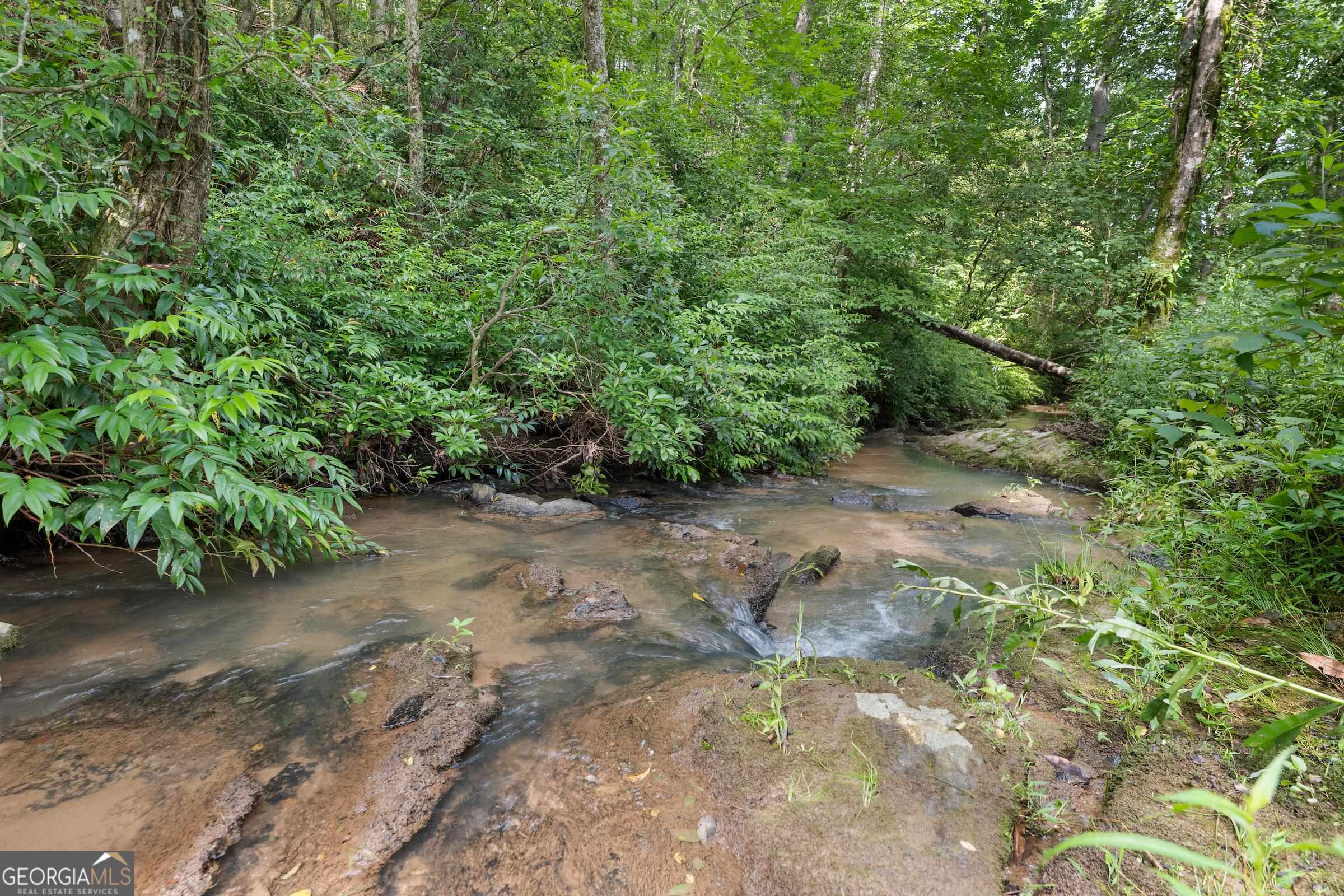 966 Wahoo Creek Road Murrayville, GA 30564 - Photo 71 of 81