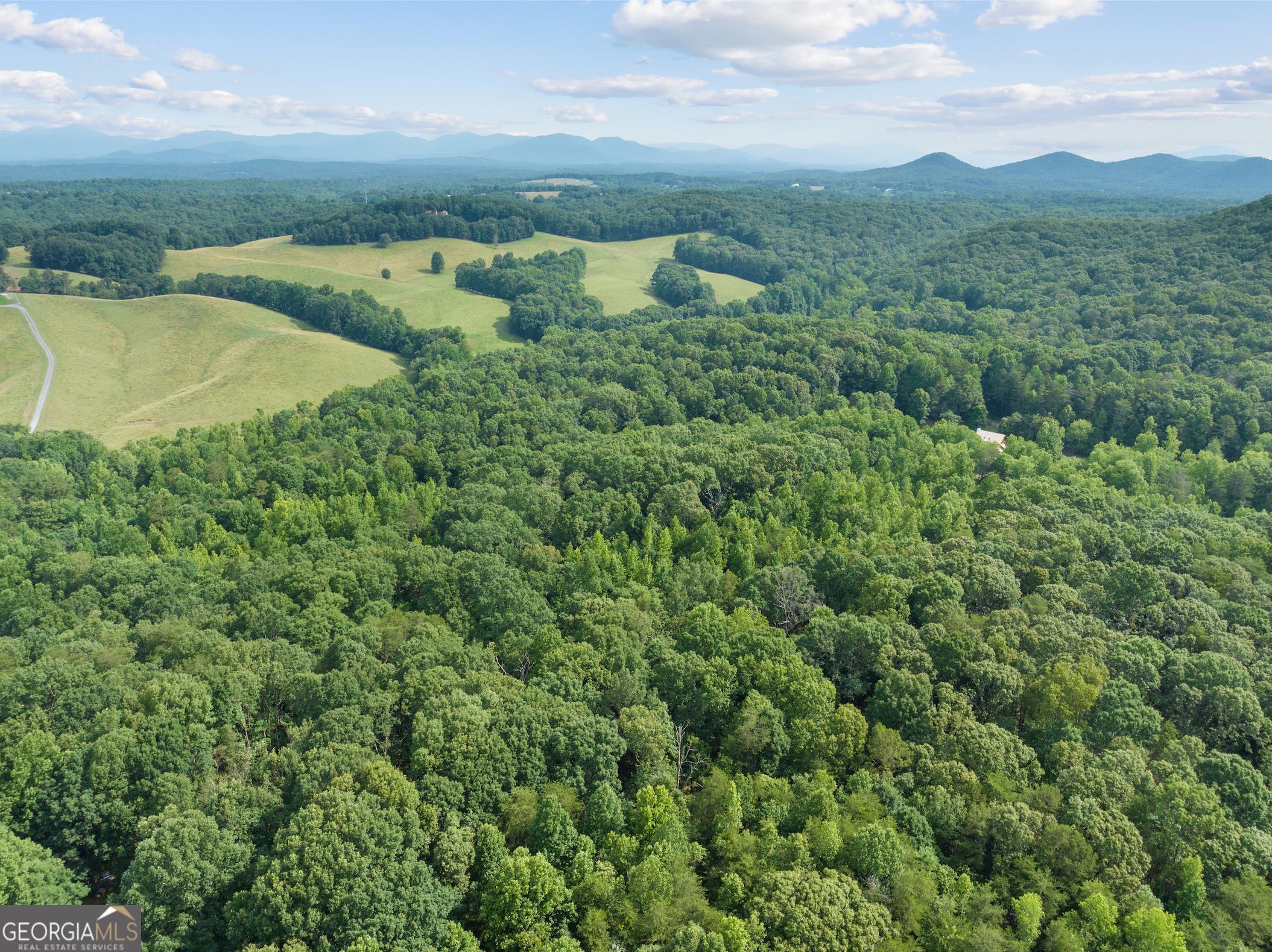 966 Wahoo Creek Road Murrayville, GA 30564 - Photo 78 of 81 an aerial view of a houses with outdoor space and river