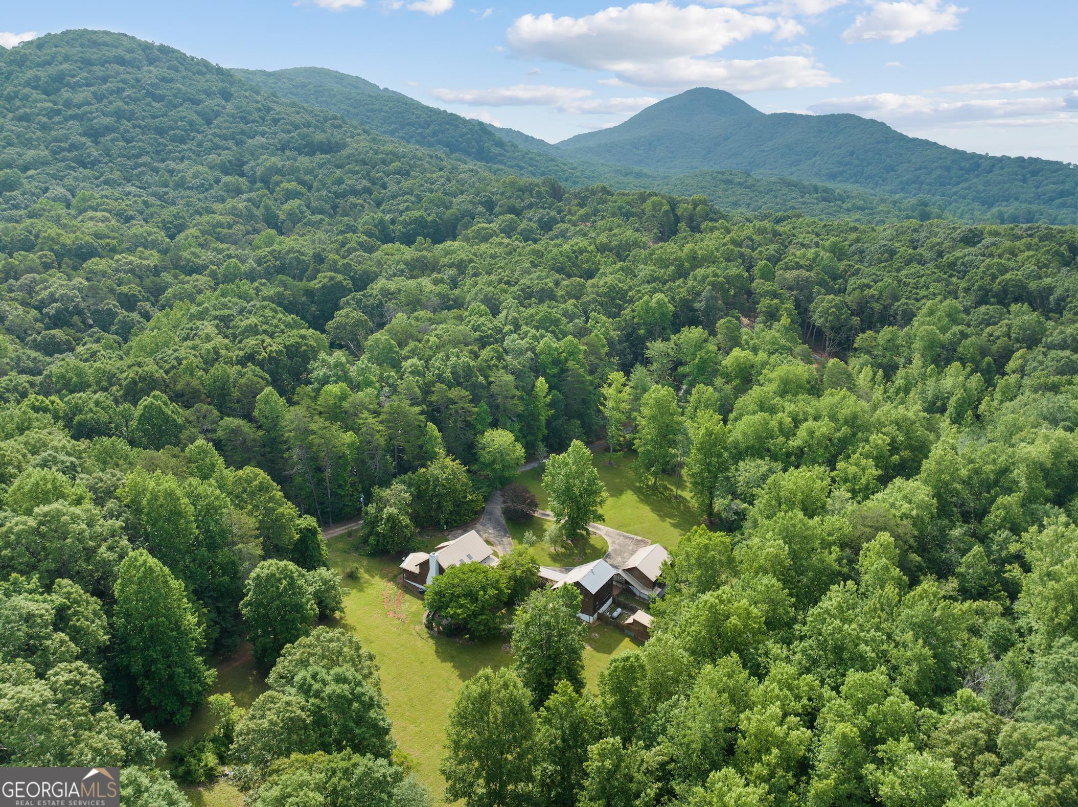 966 Wahoo Creek Road Murrayville, GA 30564 - Photo 81 of 81 a view of a lush green forest with a mountain