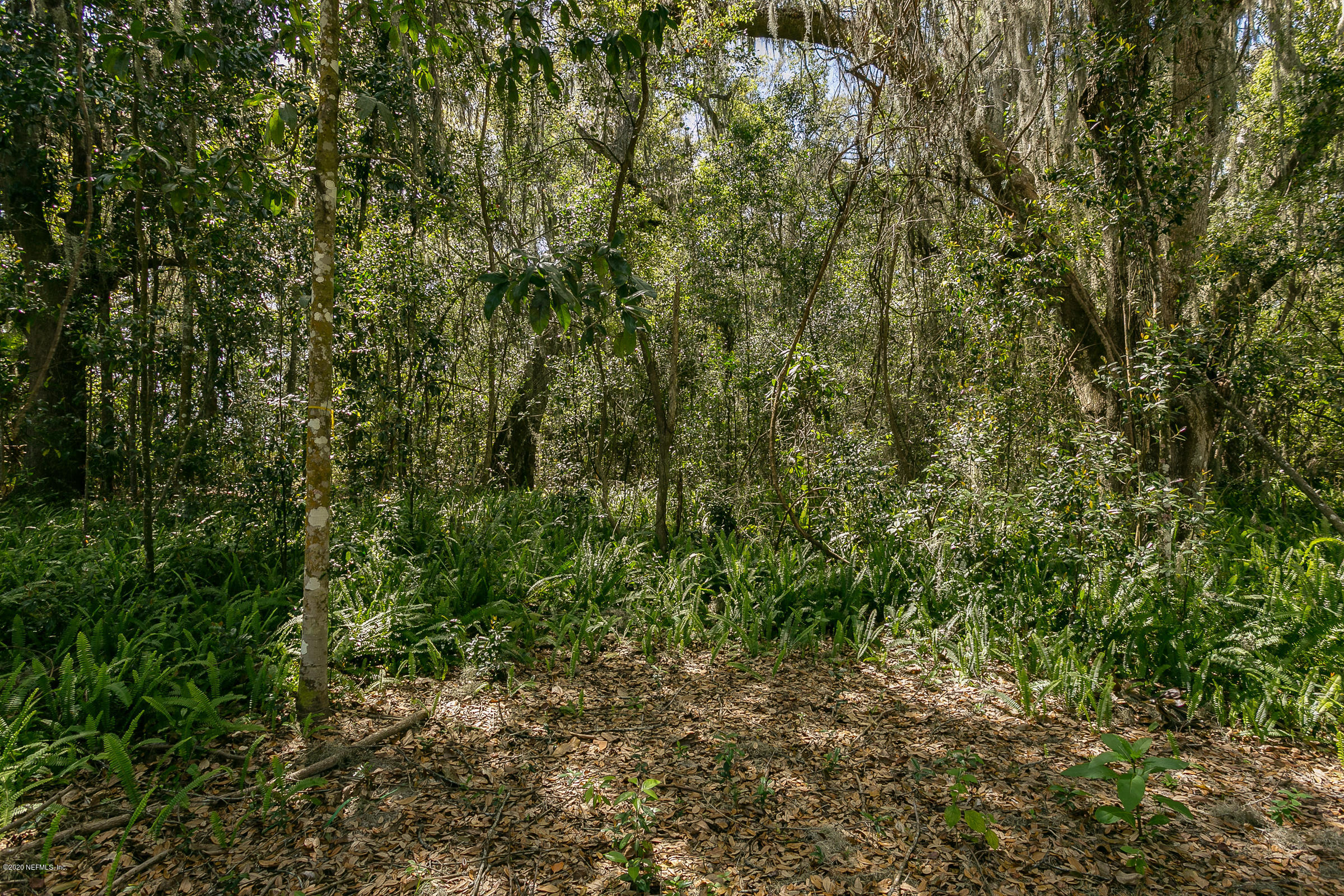 0 Old Church Road Fleming Island, FL 32003 - Photo 17 of 34 Property Interior - 2