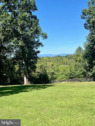 a view of a field with a tree