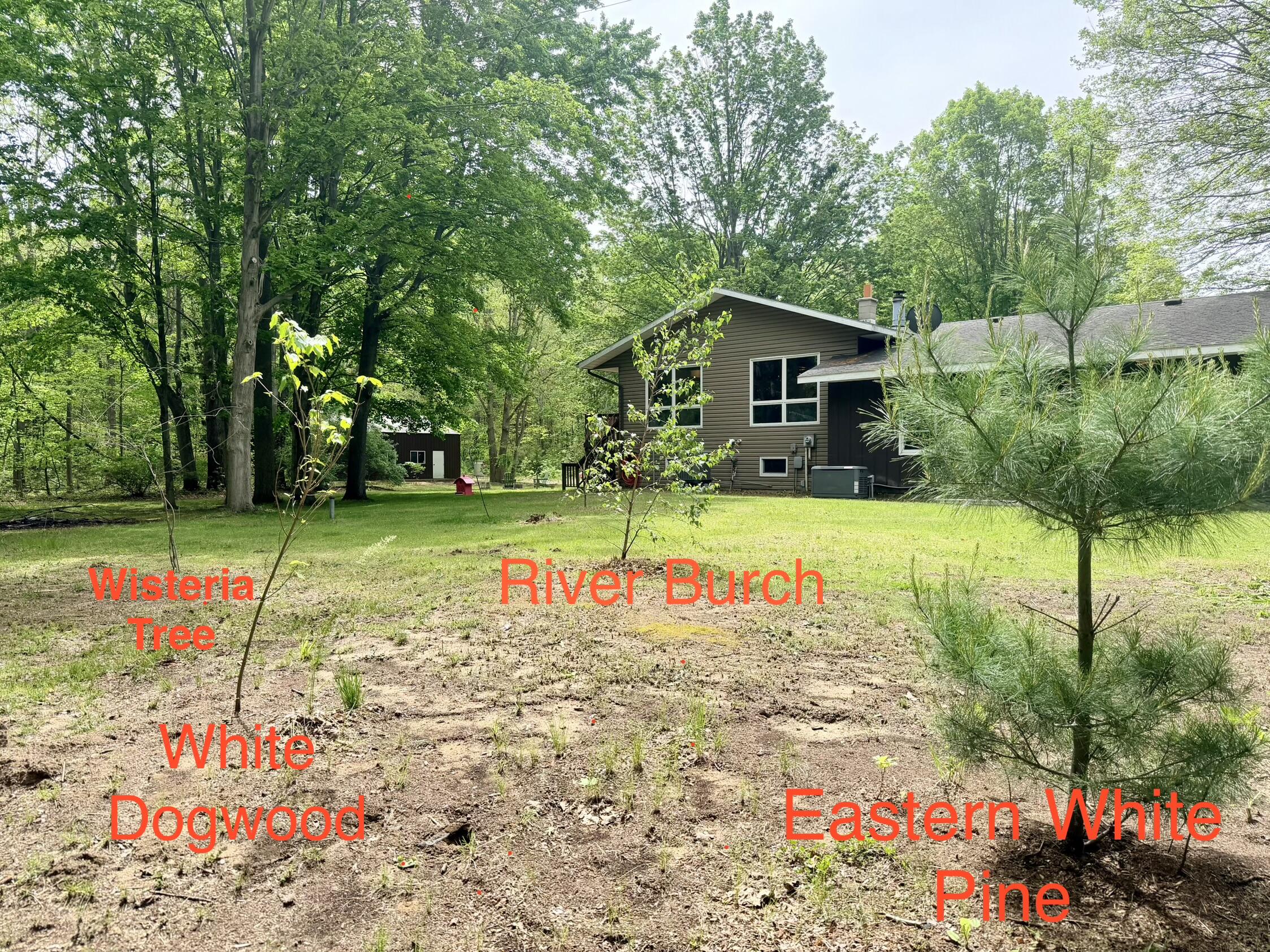 13953 Minnich Road Sawyer, MI 49125 - Photo 56 of 56 IMG_7721