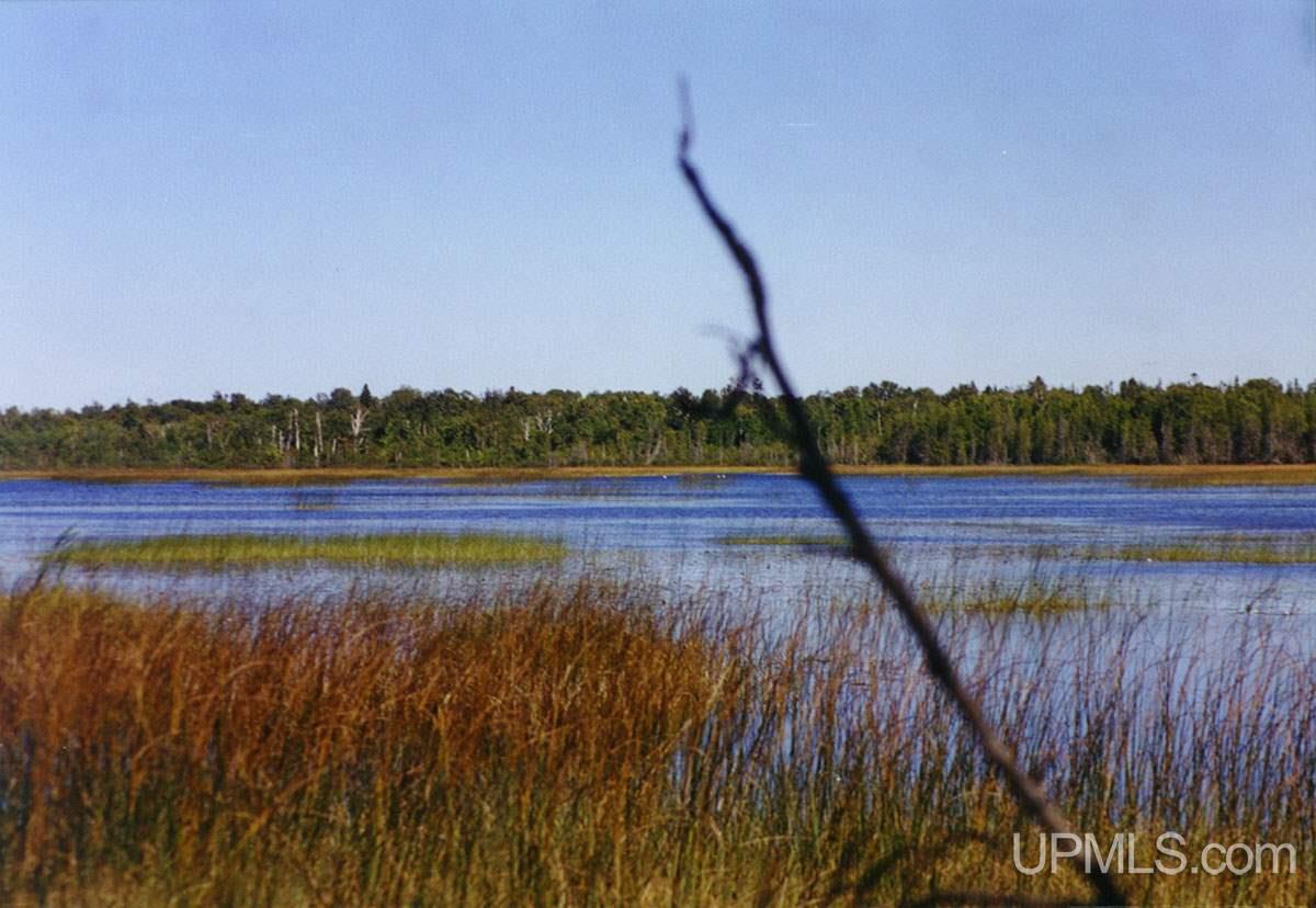 Tbd 240 Acres Off Belgium Road Manistique, MI 49854 - Photo 12 of 35
