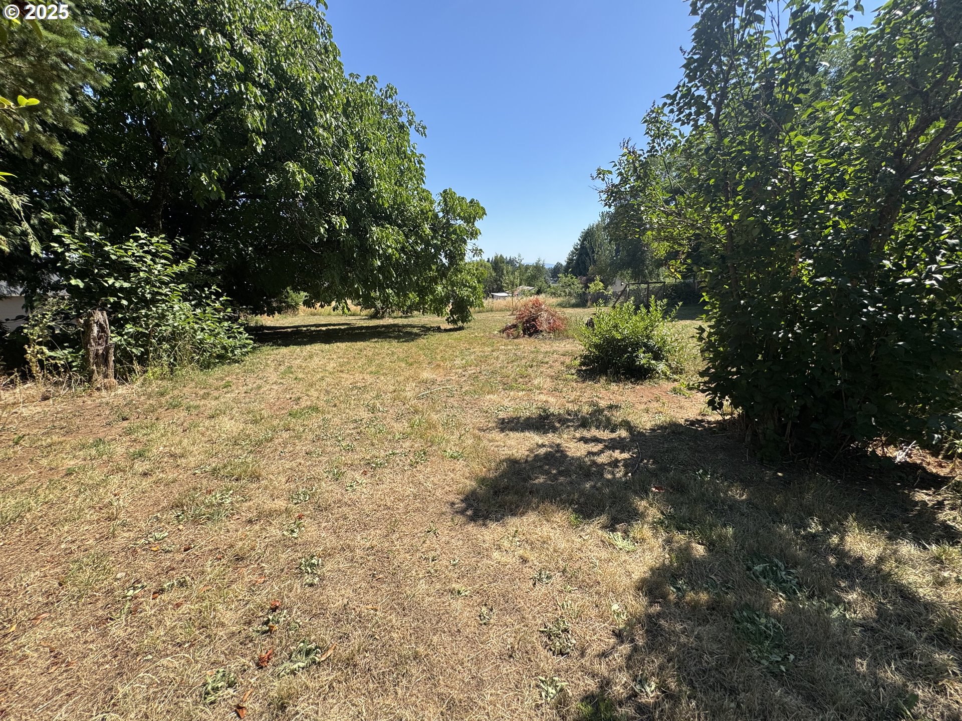 35092 Pittsburg Road St. Helens, OR 97051 - Photo 25 of 35 a view of a yard with large trees
