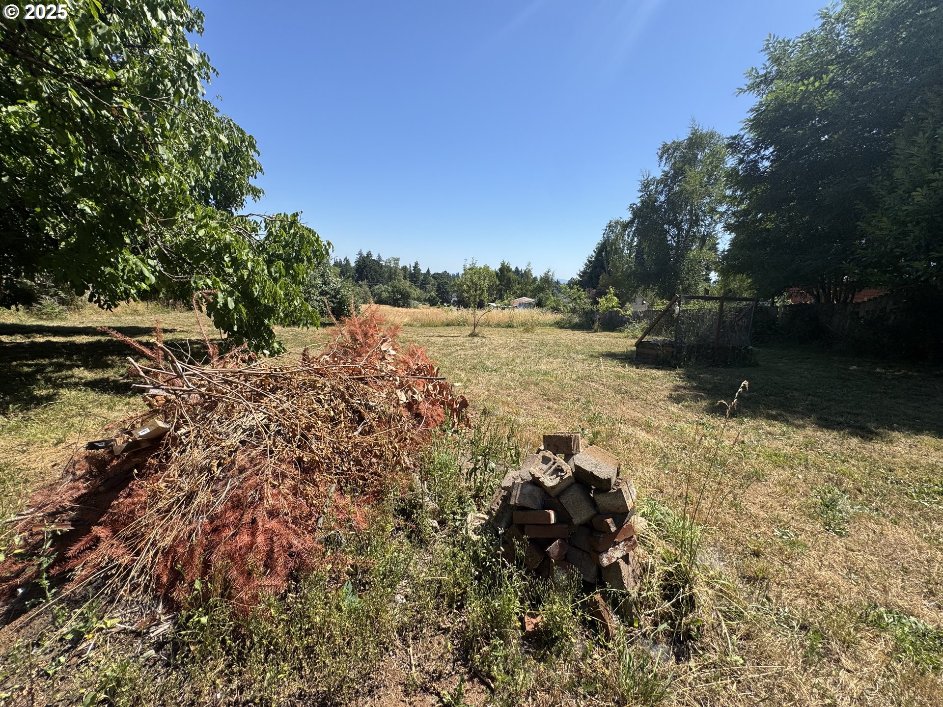 35092 Pittsburg Road St. Helens, OR 97051 - Photo 28 of 35 a view of a tree with a yard