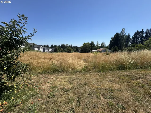 a view of a backyard of the house