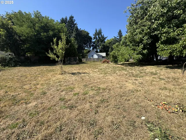 a view of a yard with a tree