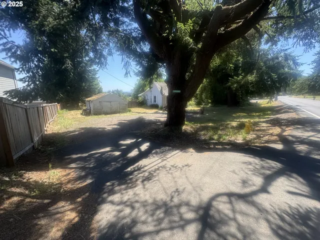 a view of a yard with a tree
