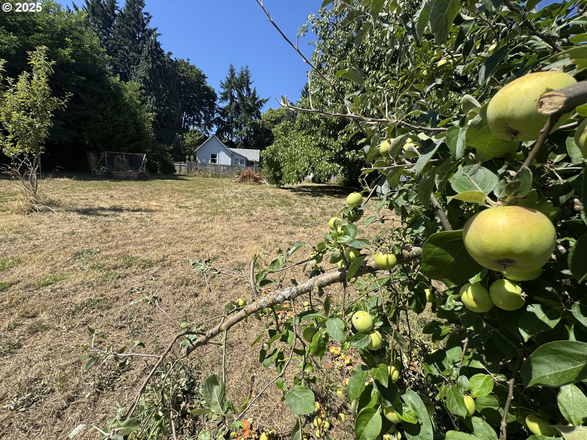 35092 Pittsburg Road St. Helens, OR 97051 - Photo 31 of 35 a view of a backyard of the house