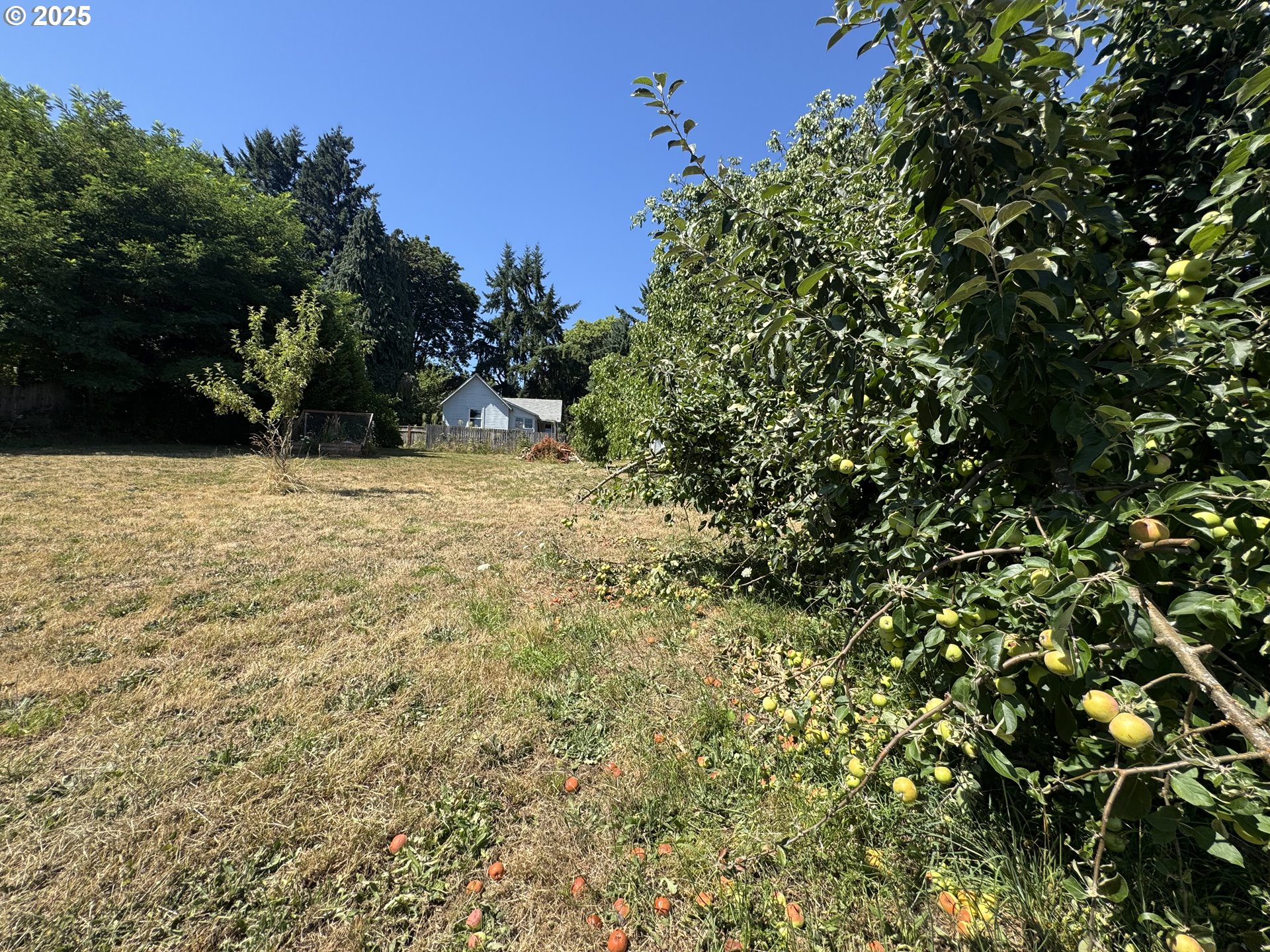 35092 Pittsburg Road St. Helens, OR 97051 - Photo 32 of 35 a view of a yard with a tree