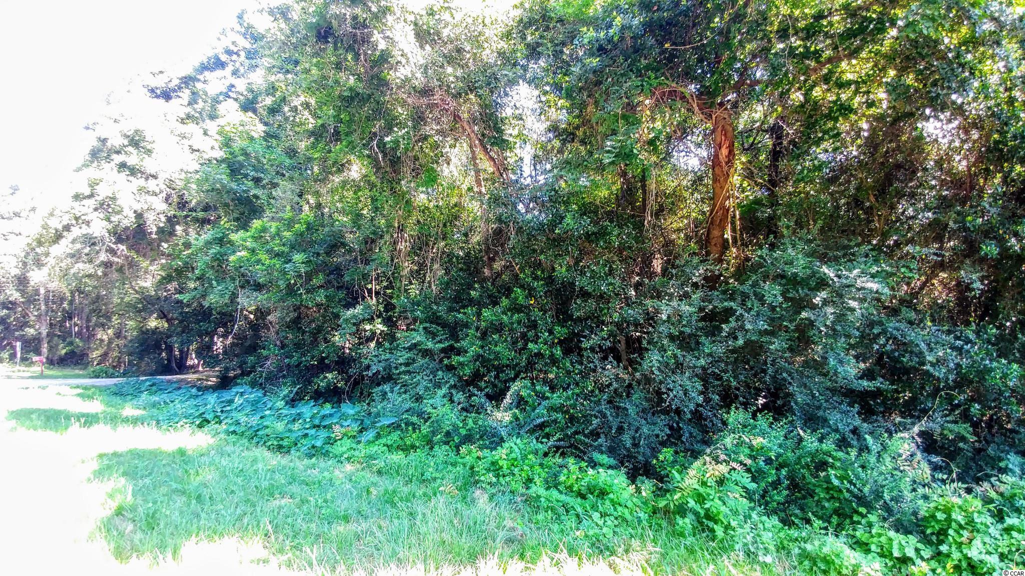 0 Senior Road Kingstree, SC 29556 - Photo 1 of 6