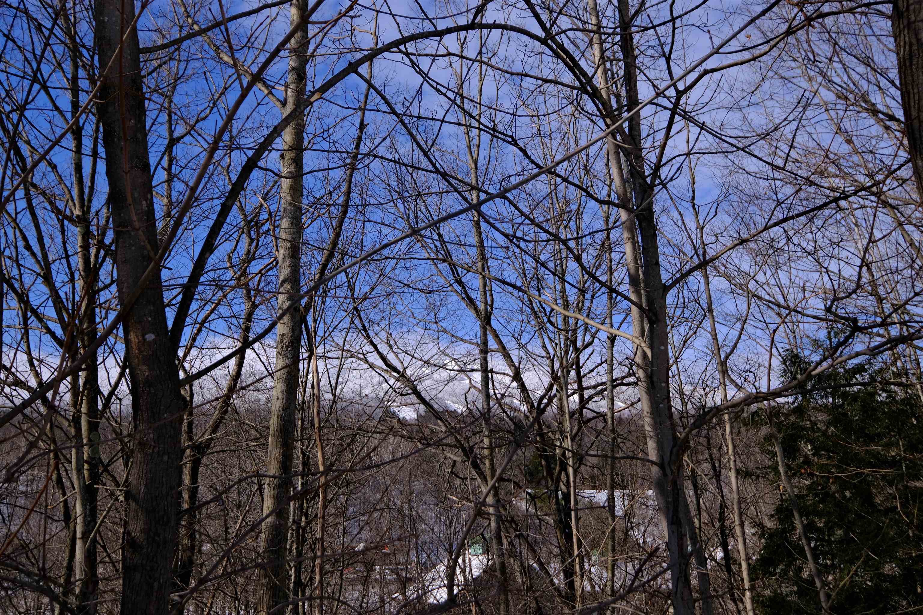 0 Prospect Street, Unit 3 Ludlow, VT 05149 - Photo 12 of 31