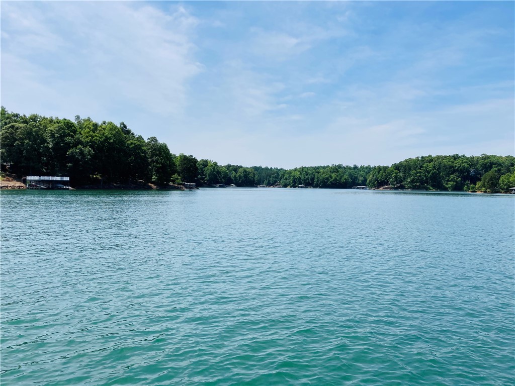 Lot 28 Retreat Pointe Road West Union, SC 29696 - Photo 8 of 21