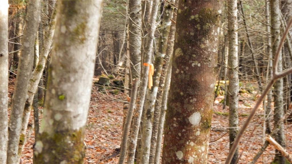 0 Dawes Road Dover-Foxcroft, ME 04426 - Photo 31 of 35 Photo