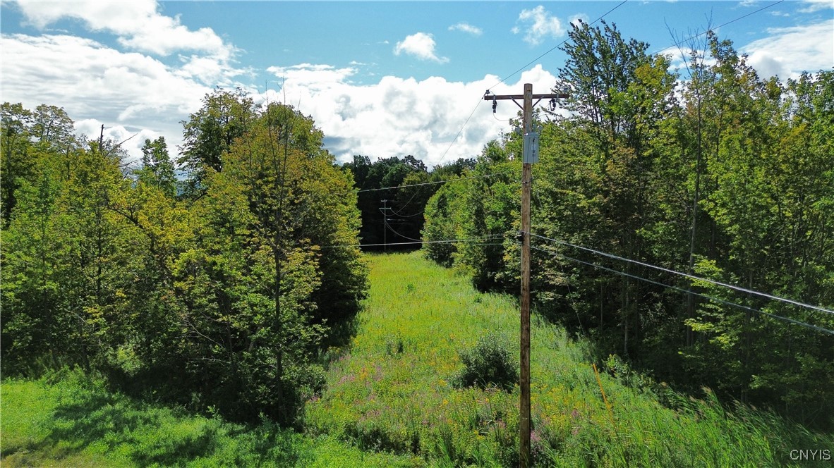Lot 5-5 Paines Hollow Road Mohawk, NY 13407 - Photo 2 of 8
