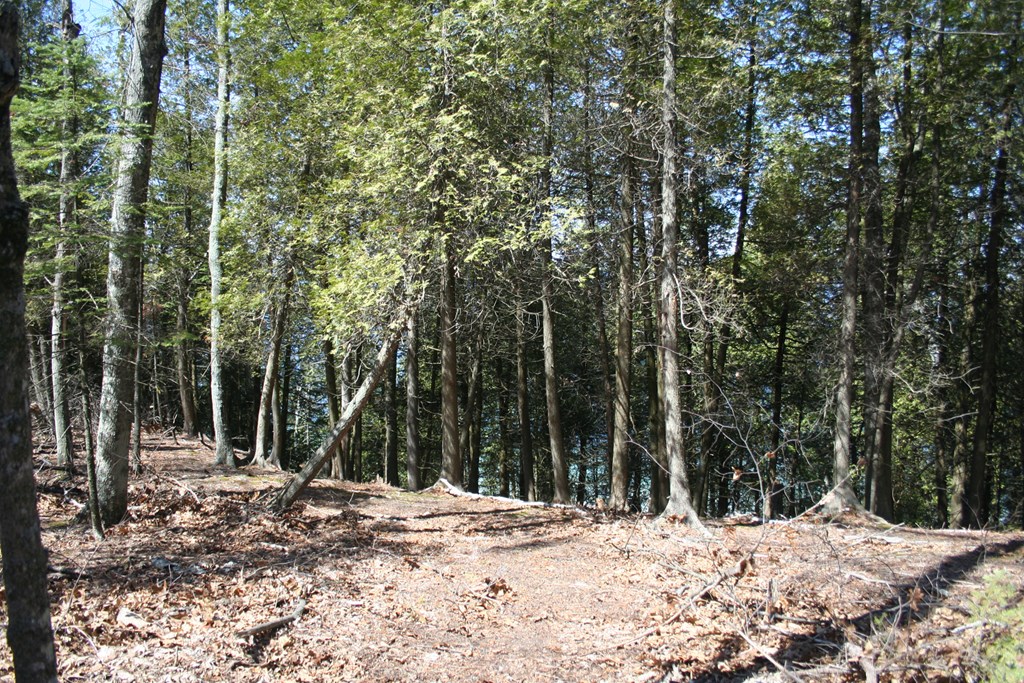 Lot 13 Boyers Bluff Road Washington Island, WI 54246 - Photo 10 of 12