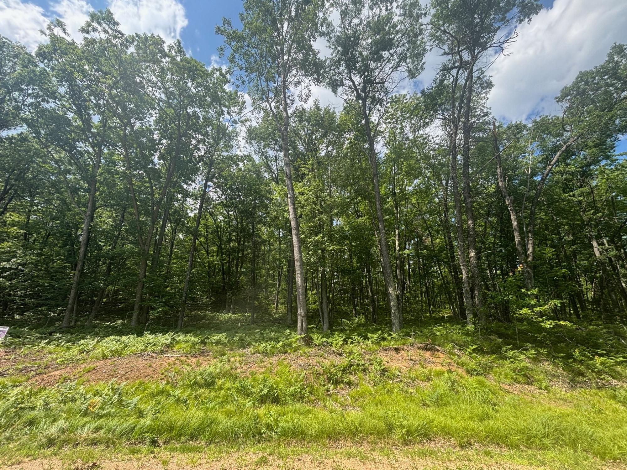 Off Bennet Road Amberg, WI 54102 - Photo 2 of 19 Gallery Image 2