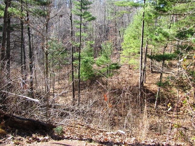 Blankenship Road Peterstown, WV 24963 - Photo 6 of 8 Gallery Image 6