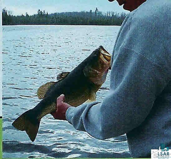 7775 South Spider Lake Road Iron River, WI 54847 - Photo 24 of 25 Excellent fishing