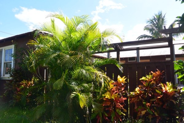 3424 A Poipu Road Koloa, HI 96756 - Photo 3 of 11 a view of a flower