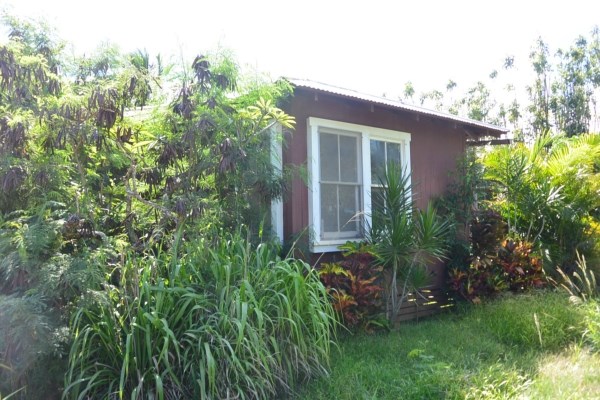 3424 A Poipu Road Koloa, HI 96756 - Photo 4 of 11 a view of a house with a yard and plants