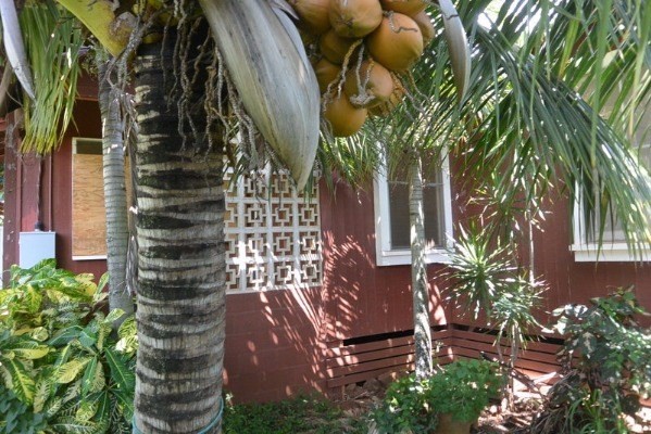 3424 A Poipu Road Koloa, HI 96756 - Photo 5 of 11