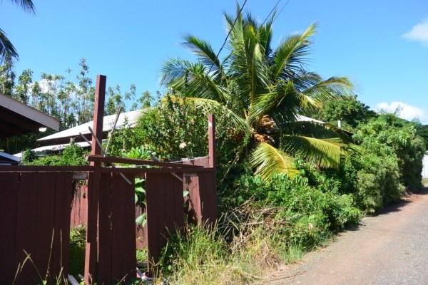 3424 A Poipu Road Koloa, HI 96756 - Photo 8 of 11 a plant that is in front of a building