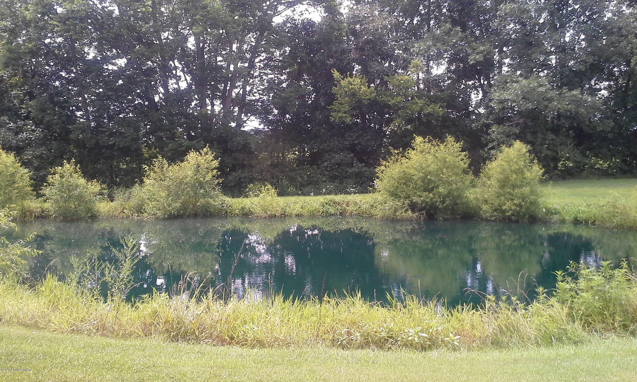 3313 Murrays Run Road Coxs Creek, KY 40013 - Photo 27 of 28 3313 pond