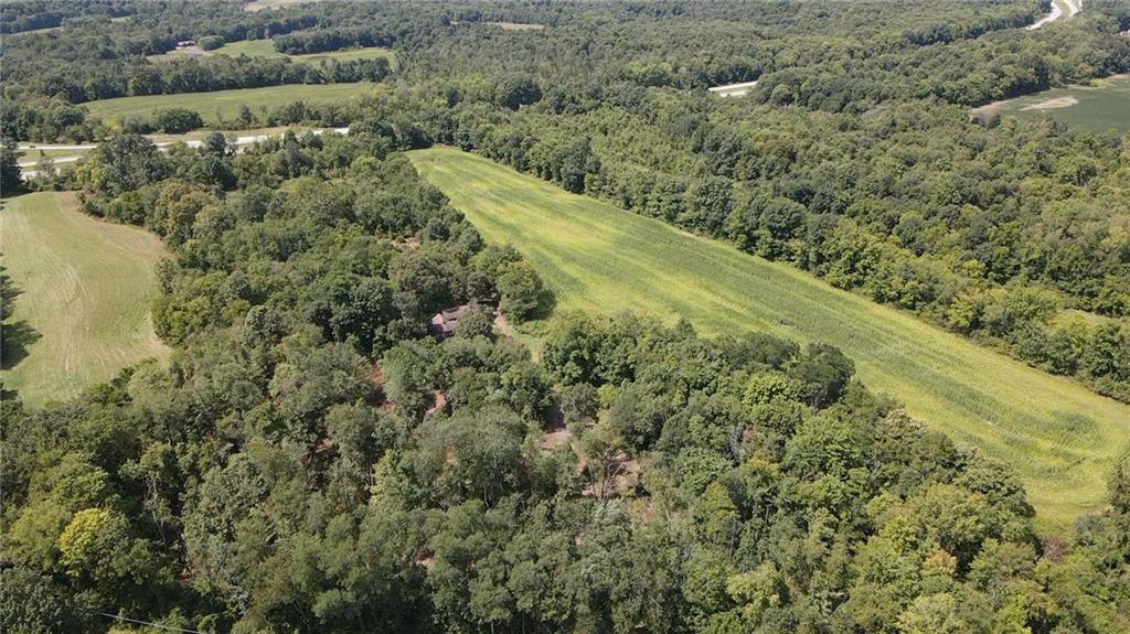 977 Glen Road New Castle, PA 16105 - Photo 12 of 22 a view of a forest with a houses