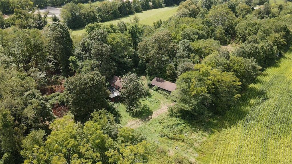 977 Glen Road New Castle, PA 16105 - Photo 15 of 22 a view of a house with a tree