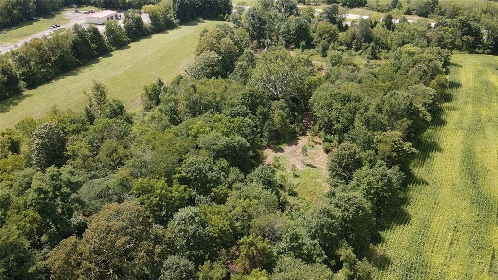 977 Glen Road New Castle, PA 16105 - Photo 16 of 22 a view of a forest with a houses