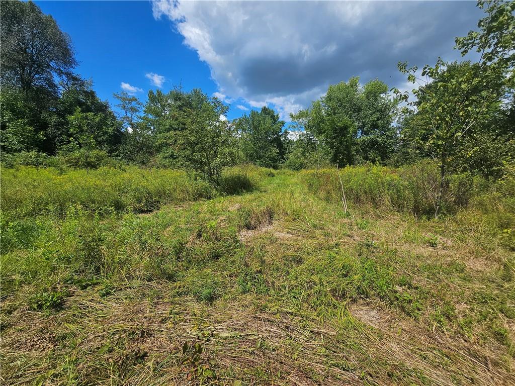 977 Glen Road New Castle, PA 16105 - Photo 2 of 22 a view of a green field