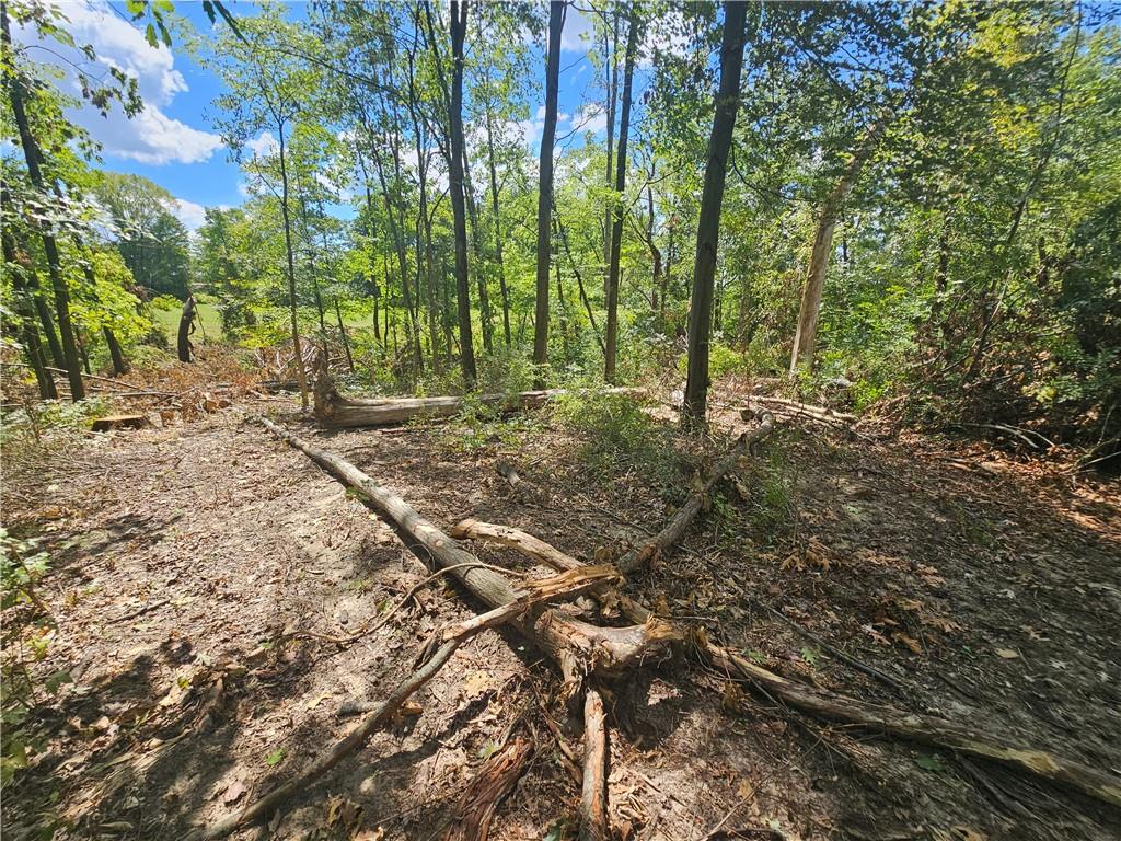 977 Glen Road New Castle, PA 16105 - Photo 3 of 22 a backyard of a house with lots of green space