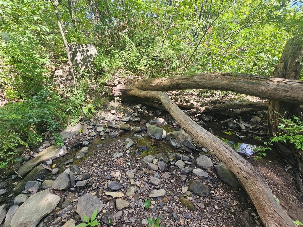 977 Glen Road New Castle, PA 16105 - Photo 4 of 22 a view of a yard with plants and a bench