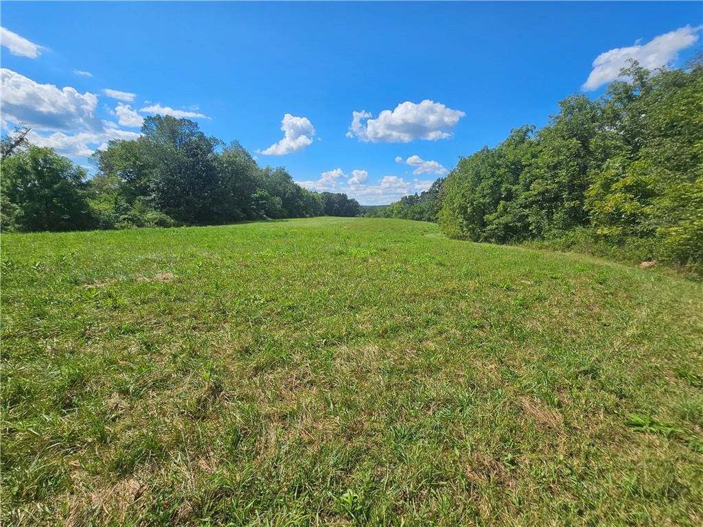 977 Glen Road New Castle, PA 16105 - Photo 5 of 22 a view of a green field with lots of bushes
