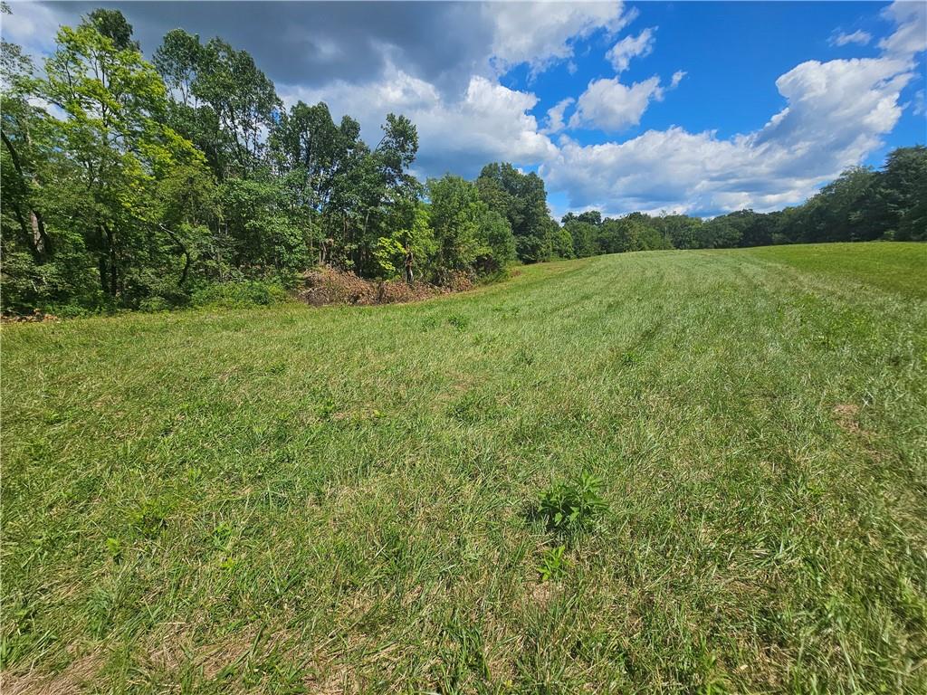 977 Glen Road New Castle, PA 16105 - Photo 6 of 22 a view of a lush green space