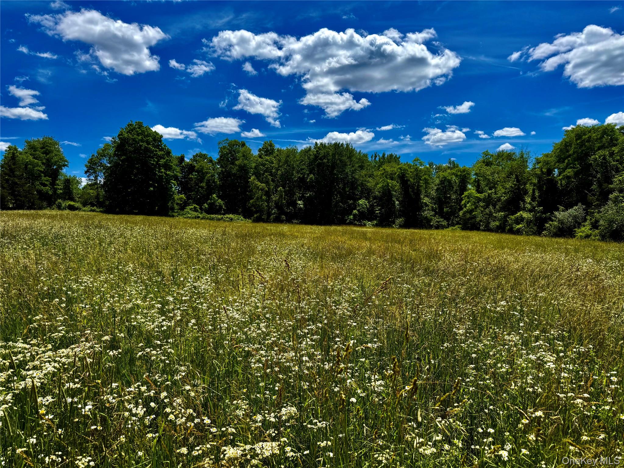 513 Rossway Road Pleasant Valley, NY 12569 - Photo 5 of 17 Field Number 1#