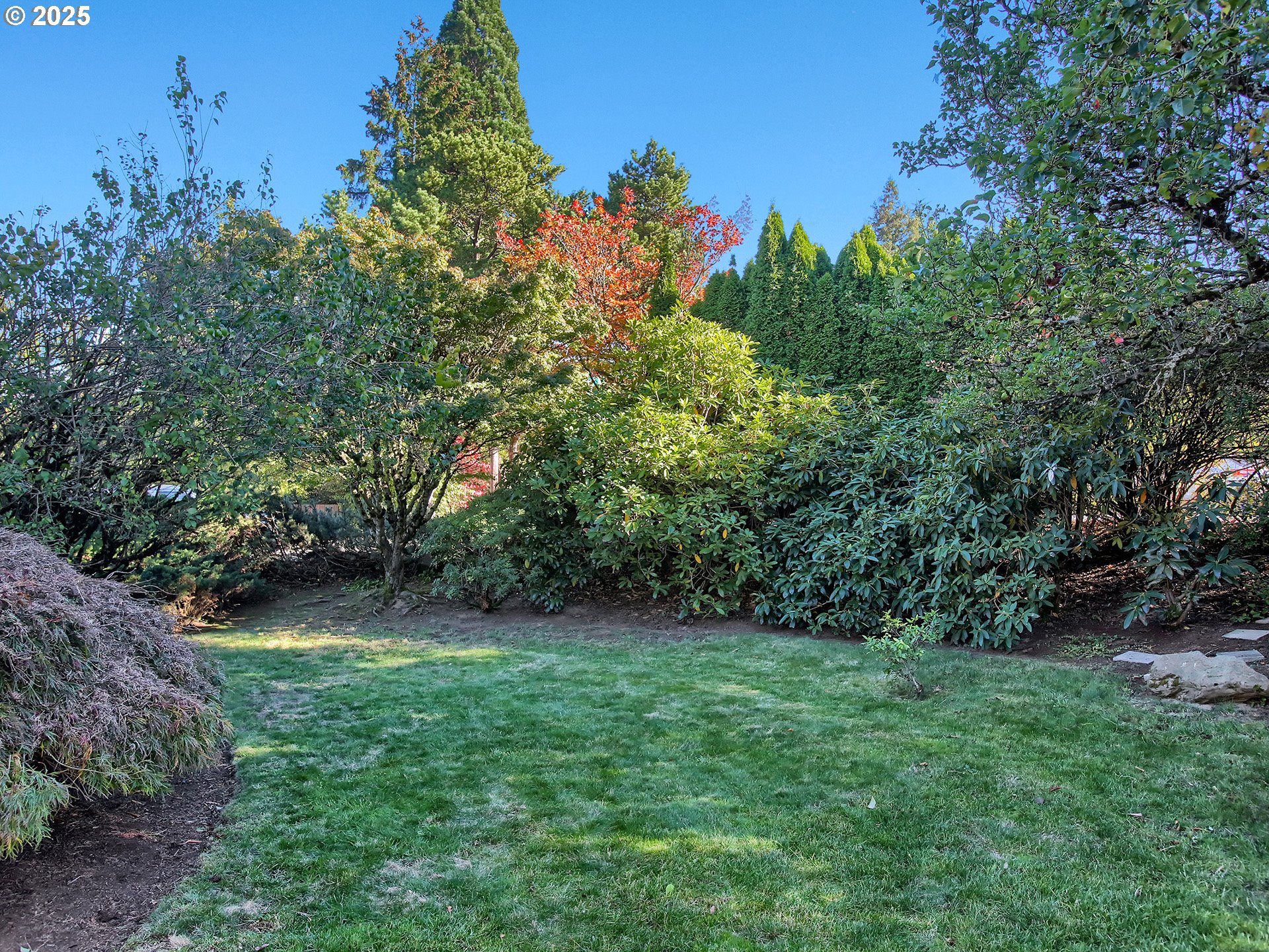 6635 Southwest 34th Avenue Portland, OR 97239 - Photo 29 of 33 Yard