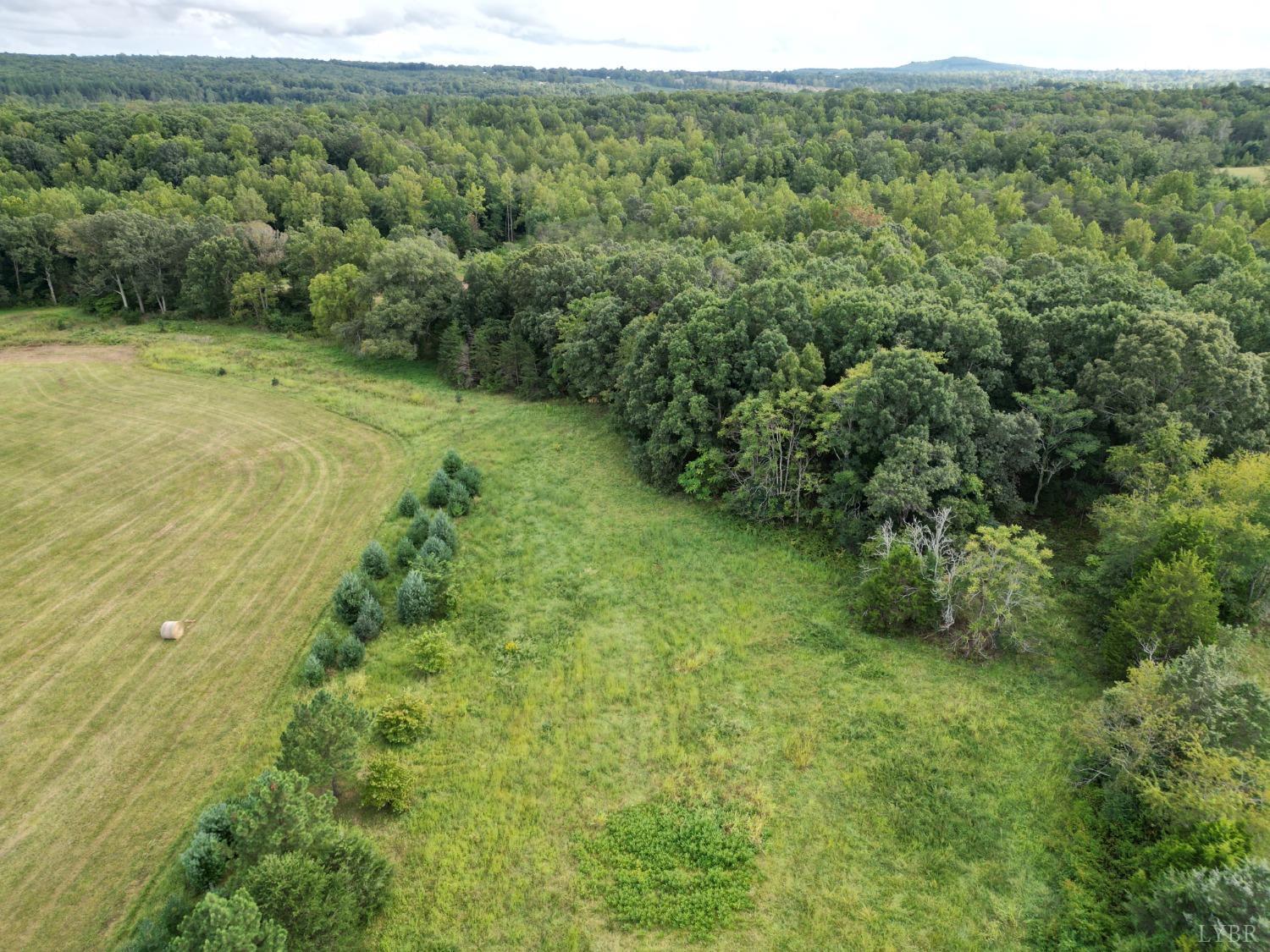 566 White Tail Road Concord, VA 24538 - Photo 5 of 25 a view of a lush green forest with trees and some houses