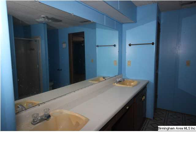 339 Taylor Crossing Ohatchee, AL 36271 - Photo 14 of 26