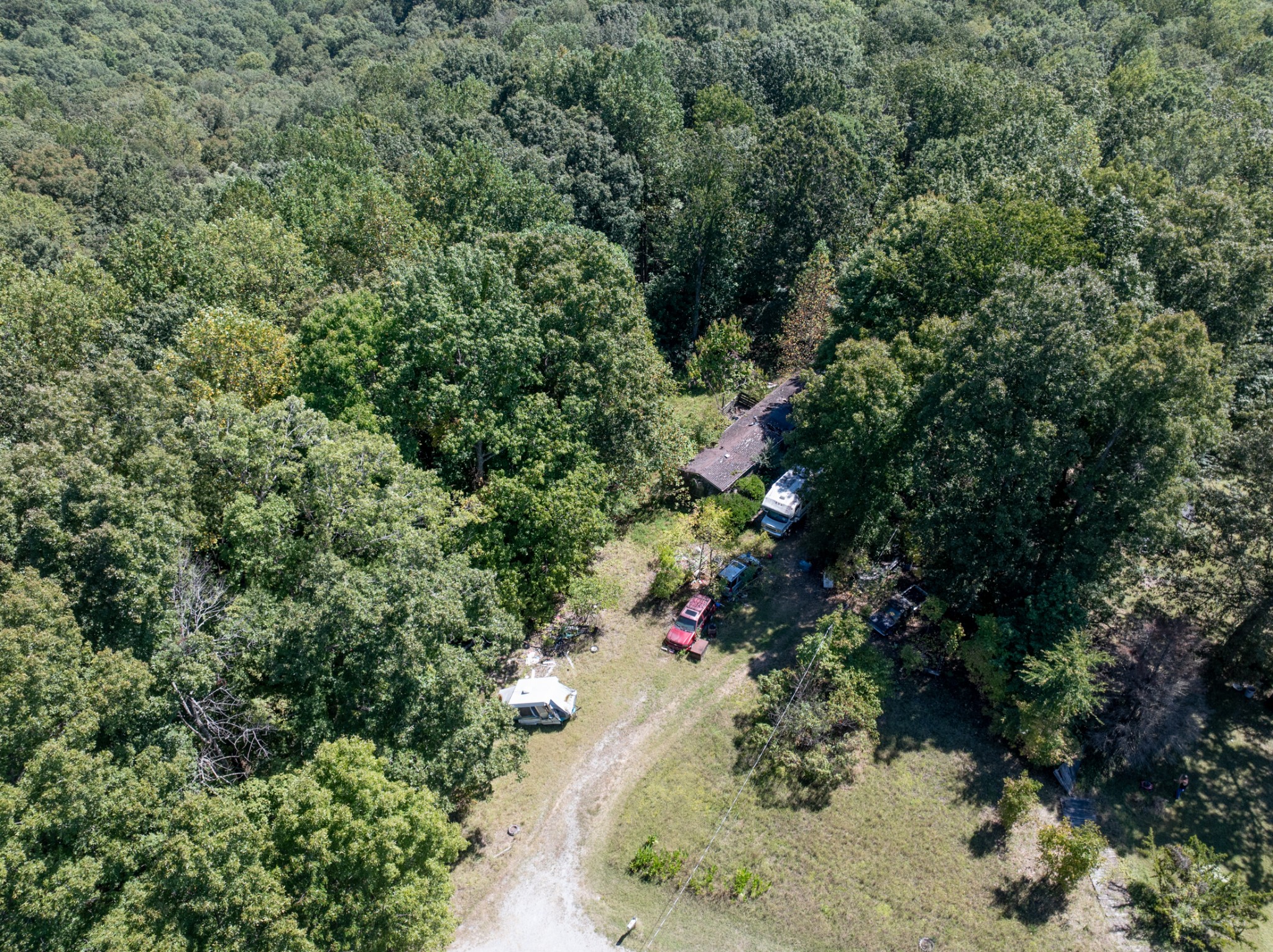 1028 Callahan Road White Bluff, TN 37187 - Photo 14 of 15 a view of a forest with a tree