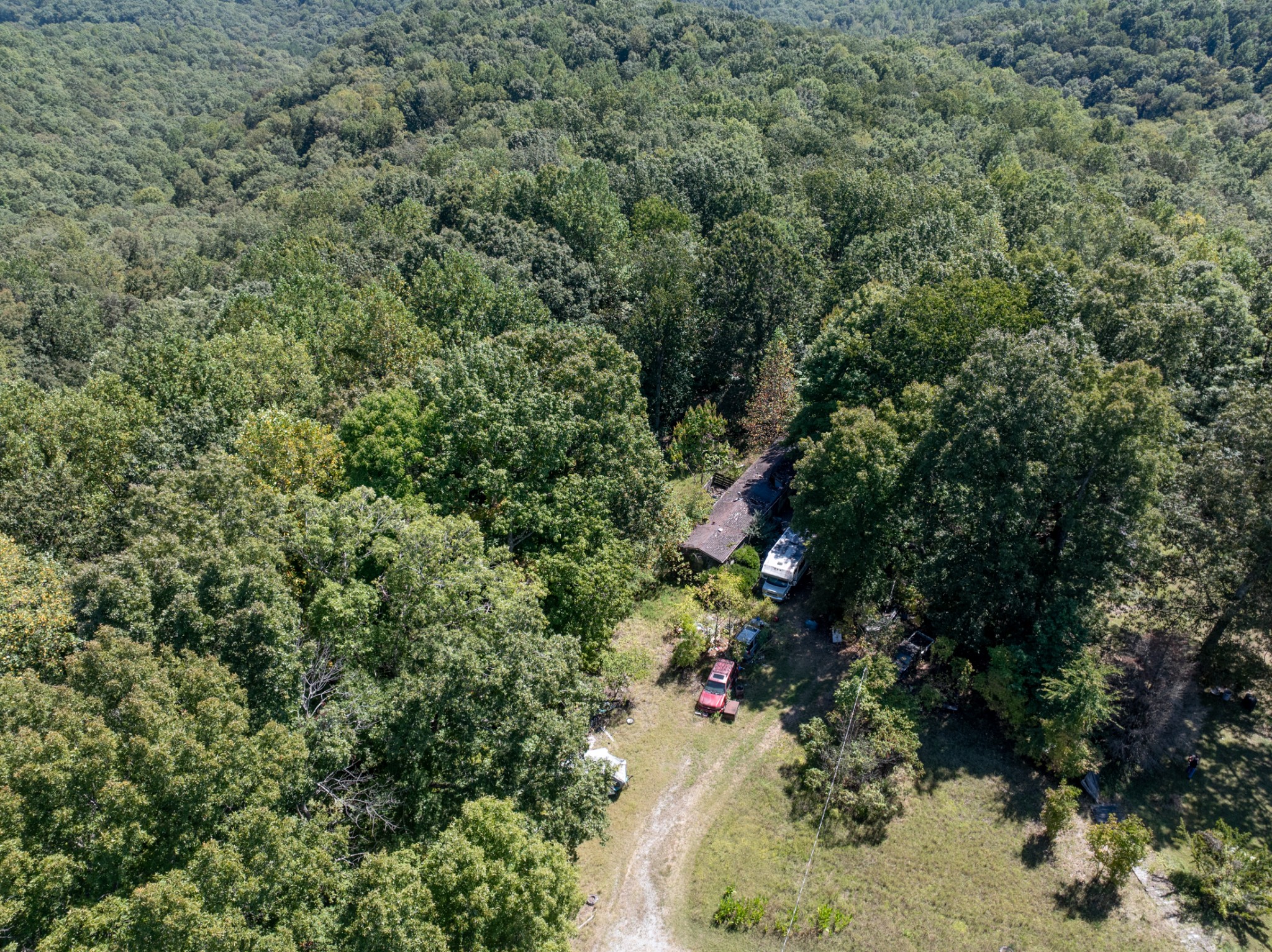 1028 Callahan Road White Bluff, TN 37187 - Photo 15 of 15 a view of a forest with a tree