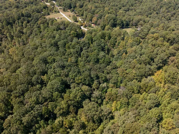 a view of a covered with green field
