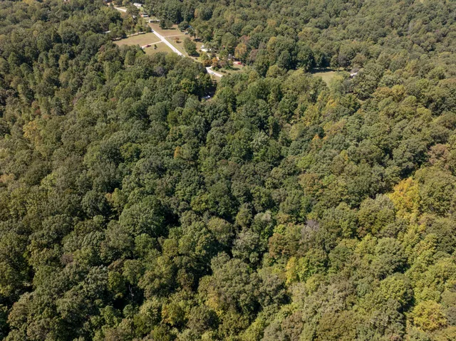 a view of a covered with green field